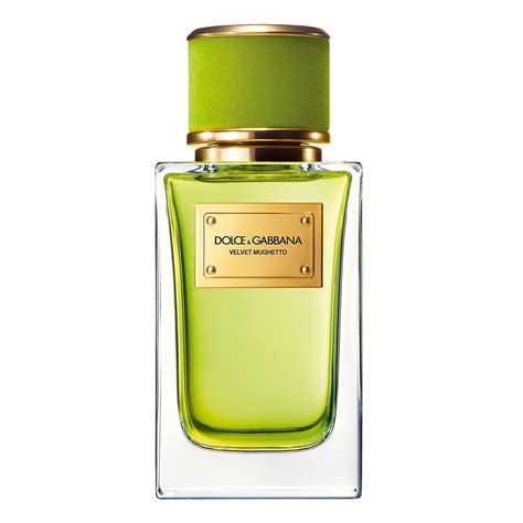 dolce gabbana bergamot|Women's Velvet Mughetto Eau de Parfum by .